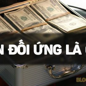 Vốn đối ứng là gì? Những chủ đề liên quan vốn đối ứng