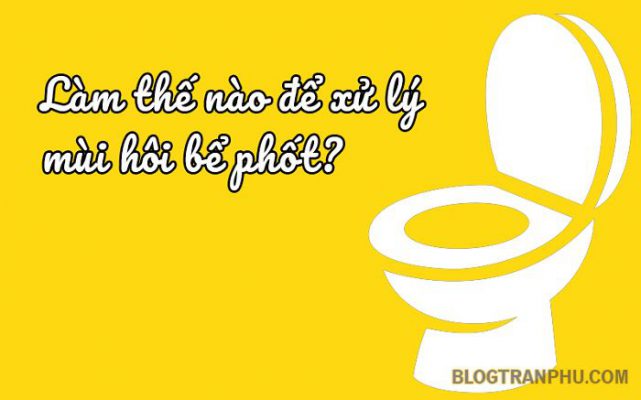 Cách xử lý mùi hôi bể phốt hiệu quả