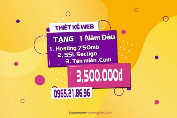 Thiết kế web Hải Phòng chuyên nghiệp, uy tín, giá rẻ