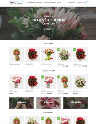 Thiết kế website chuyên nghiệp Tphcm - Websiteviet.VN