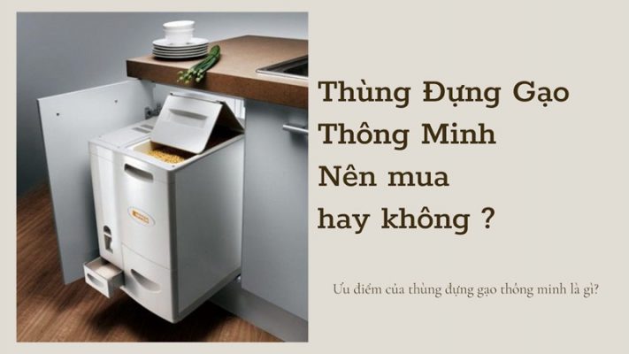 Thùng Đựng Gạo Thông Minh Và Những Ưu Điểm Vượt Trội
