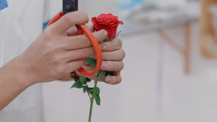 Lẵng hoa khai trương bao nhiêu tiền? Mua ở đâu?