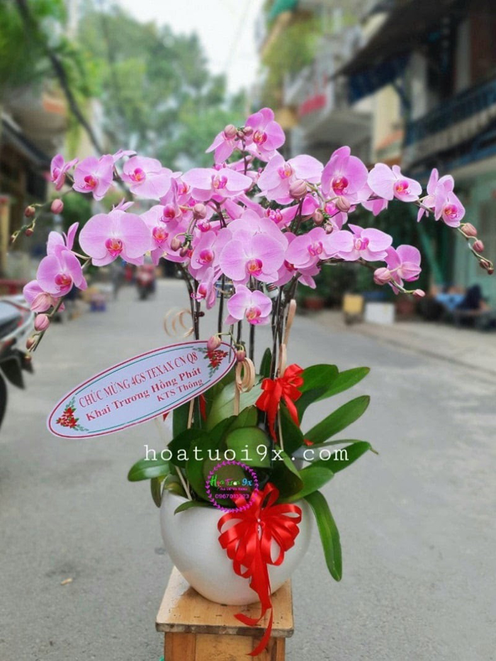 Lẵng hoa khai trương bao nhiêu tiền? Mua ở đâu?