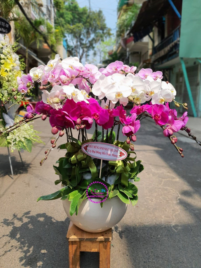 Lẵng hoa khai trương bao nhiêu tiền? Mua ở đâu?
