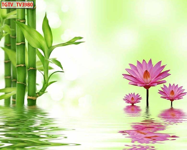 Dịch vụ thi công tranh dán tường tại công ty quảng cáo VIETADV