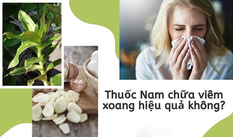 Chữa bệnh viêm xoang bằng thuốc nam có tốt không? Nên dùng bài thuốc nào?