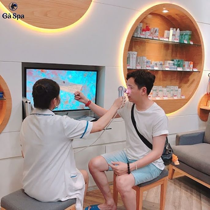 Review Gà spa và Bảng giá Gà spa mới nhất hiện nay