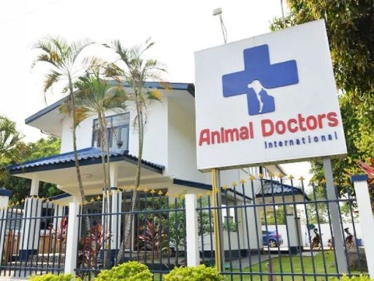 Top 5 phòng khám thú y Hồ Chí Minh tốt nhất