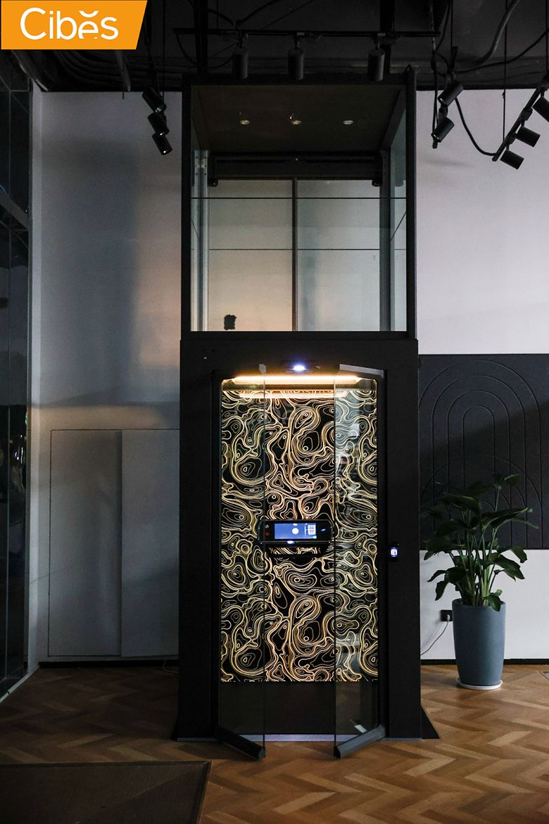 Thang máy gia đình nên chọn công nghệ trục vít, thủy lực hay cáp kéo?