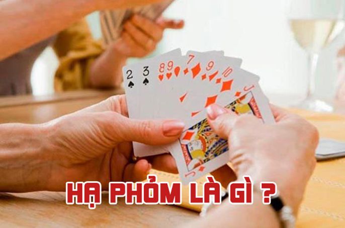 Bài Phỏm là gì? Hướng dẫn cách chơi và mẹo "hạ gục" đối thủ 